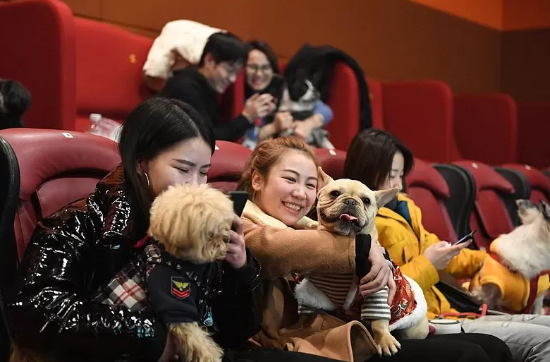 为拉流伦敦电影院“讨好”宠物,狗狗可免票陪主人看电影-第2张图片- 为拉流伦敦电影院“讨好”宠物,狗狗可免票陪主人看电影-第2张图片-