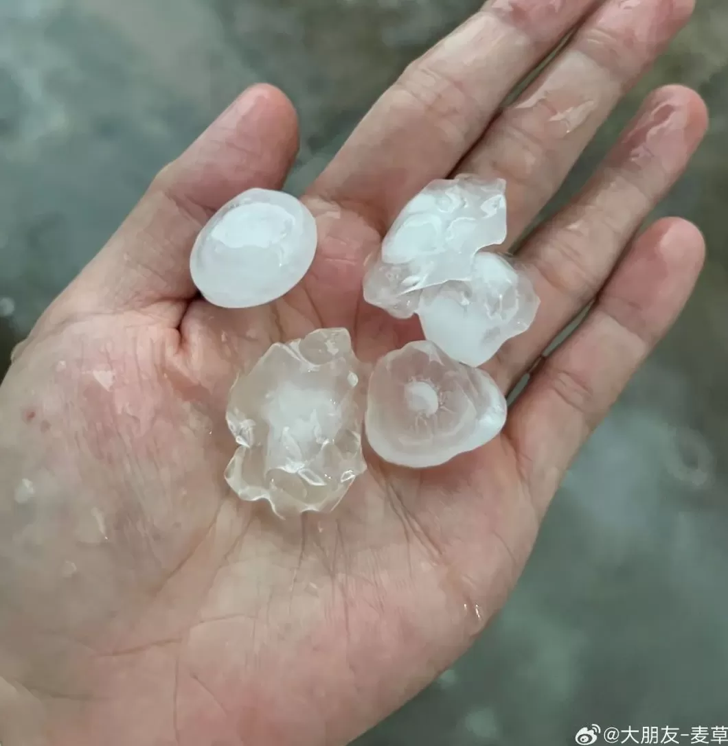 上海今天刷新多项高温纪录，明天最高29℃未来一周多阵雨-第2张图片-