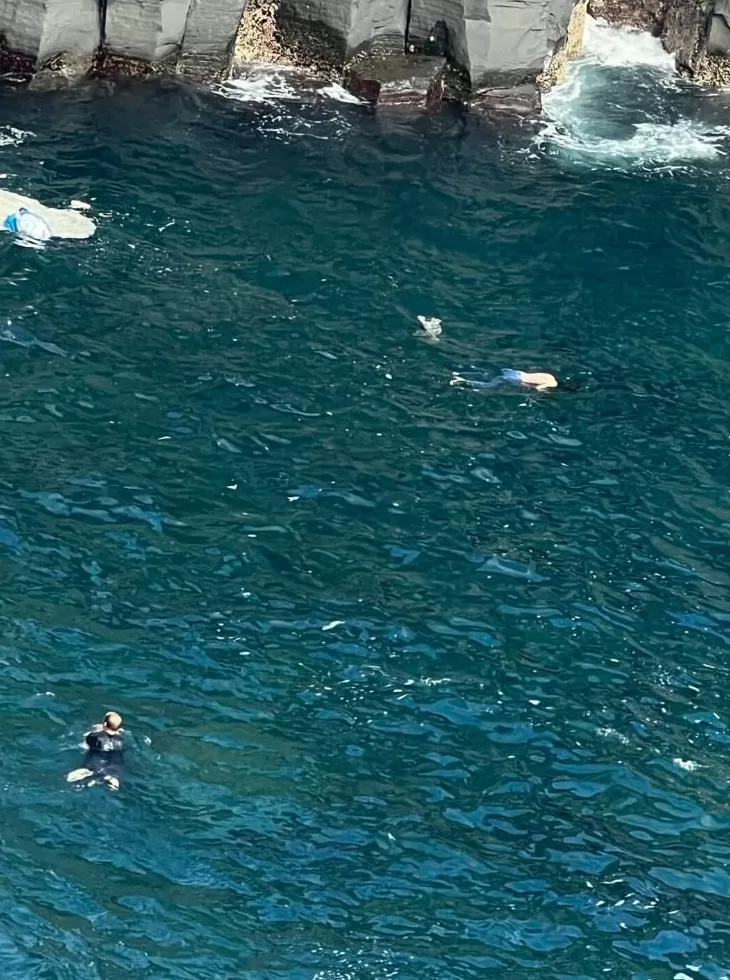 中国游客在日本徒手爬峭壁救落水者，救人者回应：像跑了一场马拉松-第4张图片-