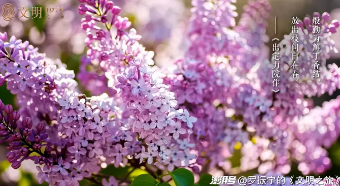 公元1076年:哲人为什么当不了国王?-第1张图片- 公元1076年:哲人为什么当不了国王?-第1张图片-