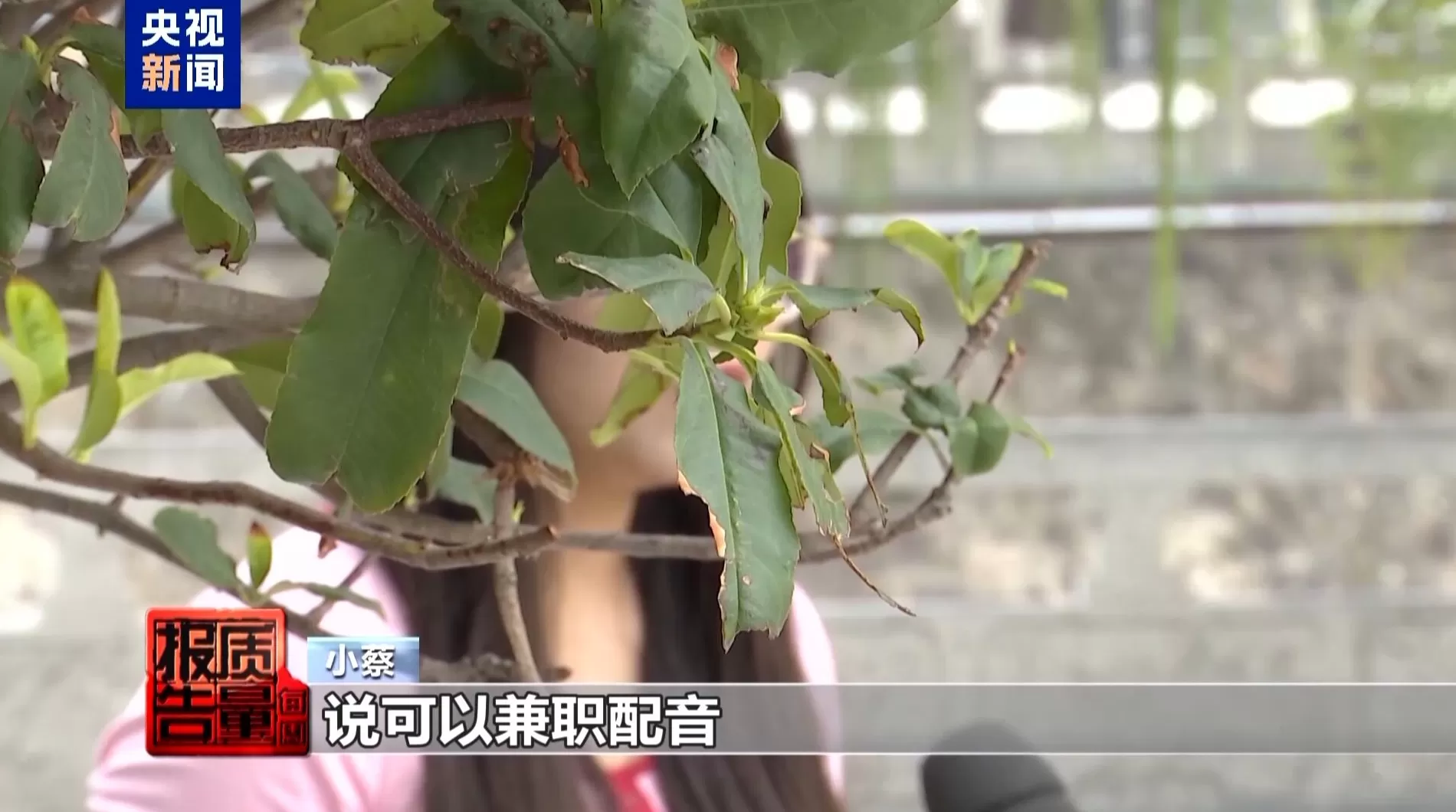 央视起底“免费培训”套路：以高薪兼职为名骗人贷款，涉事公司被立案-第1张图片-