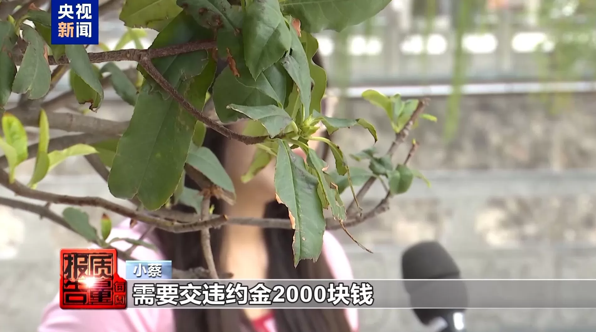 央视起底“免费培训”套路：以高薪兼职为名骗人贷款，涉事公司被立案-第3张图片-