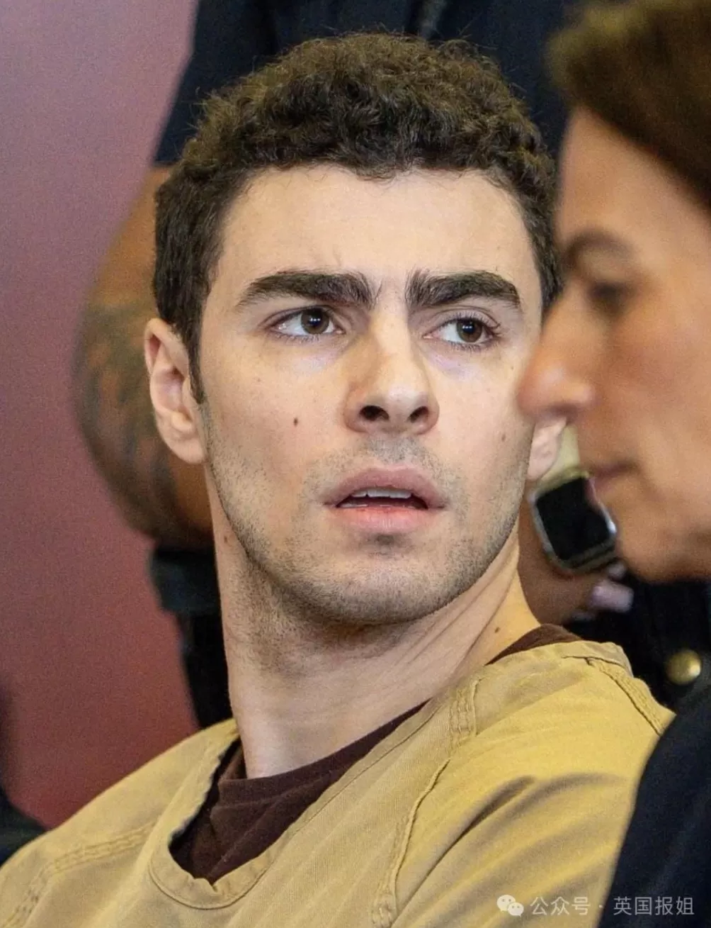 枪杀美医保CEO枪手最新出庭再引热议！死刑概率或降低-第13张图片-