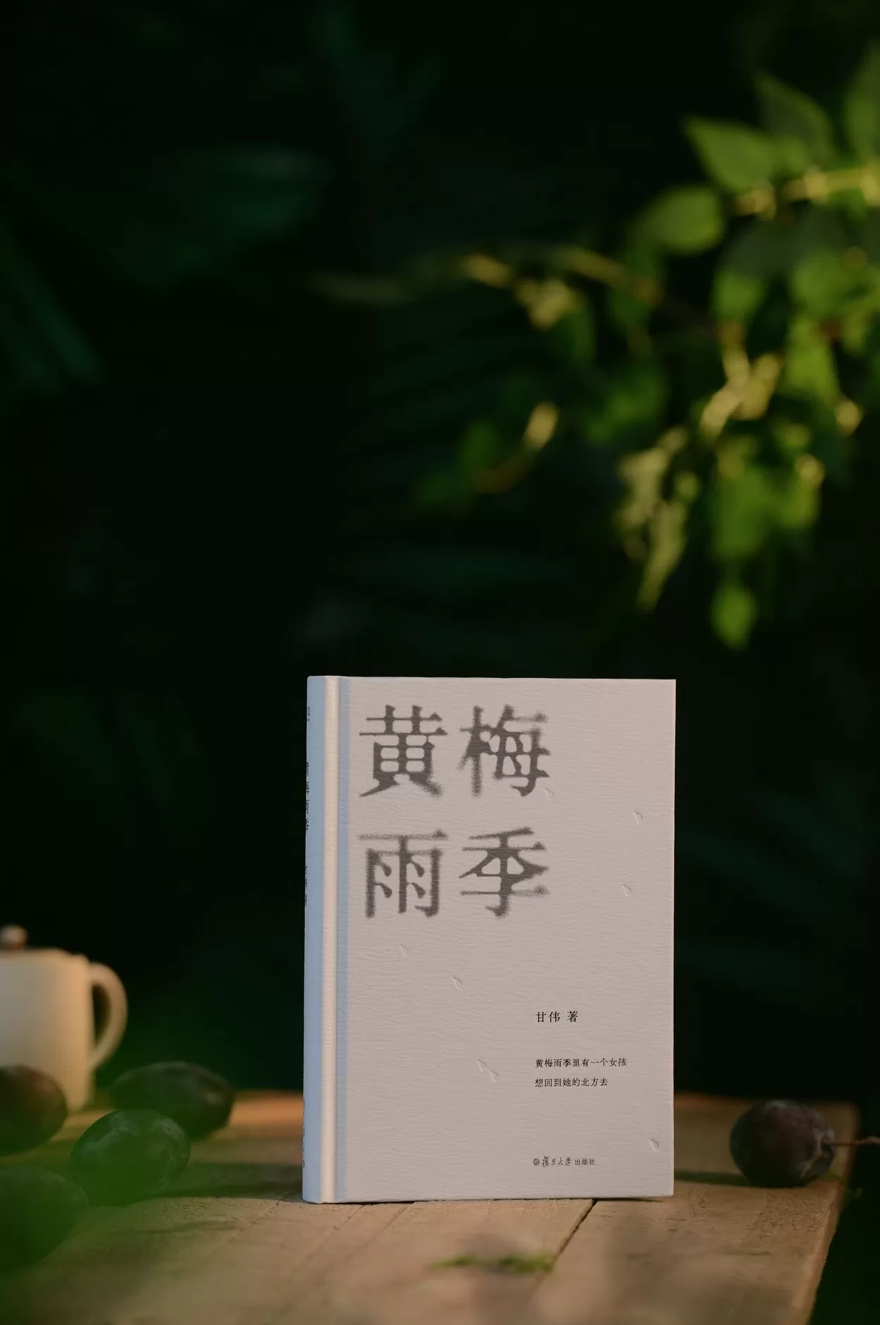 “雨季的重逢与告别”：诗人甘伟诗集《黄梅雨季》在复旦首发-第3张图片-