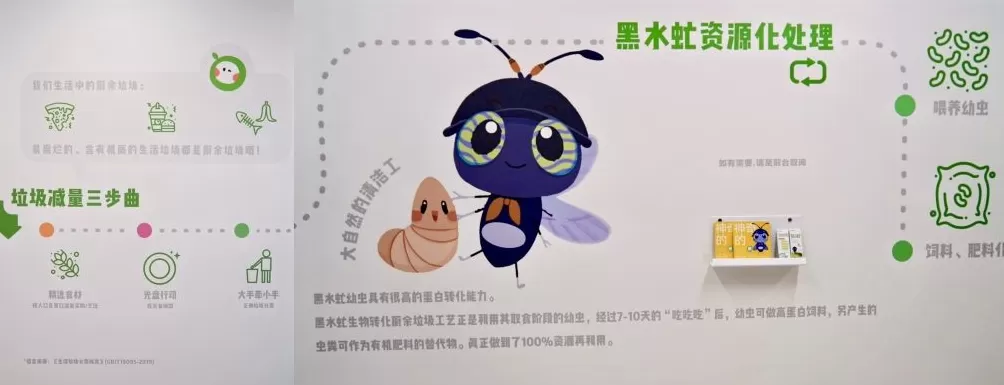 深圳垃圾分类条例发布五周年成效显著 盐田区建成全国首个全量黑水虻处理厨余垃圾示范区-第2张图片-