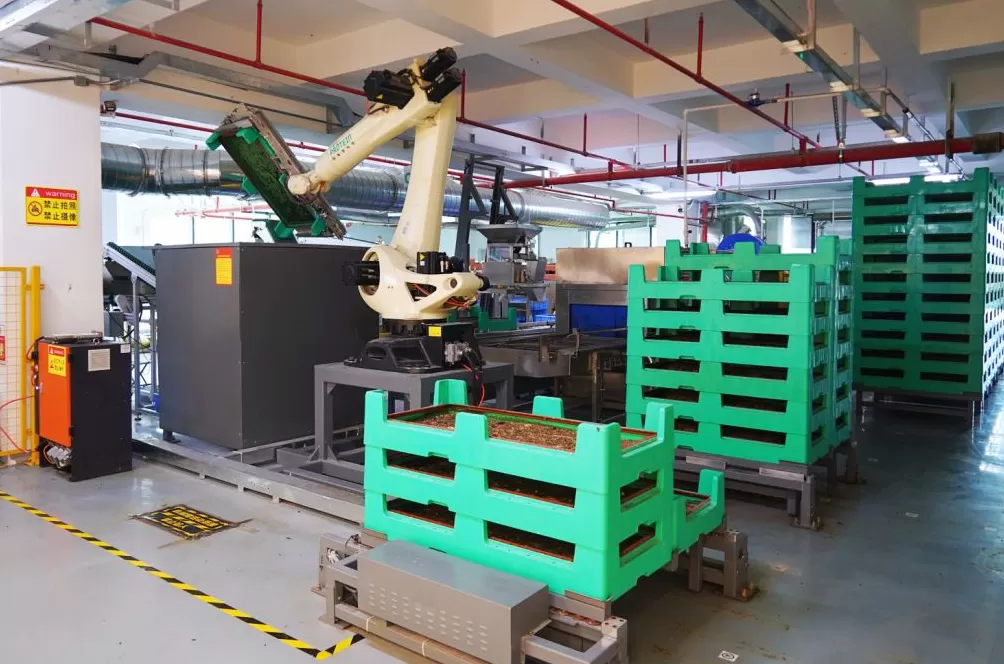 深圳垃圾分类条例发布五周年成效显著 盐田区建成全国首个全量黑水虻处理厨余垃圾示范区-第4张图片-