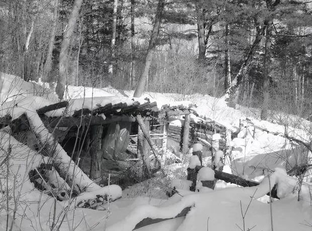 不愿做奴隶的人们-第10张图片- 不愿做奴隶的人们-第10张图片-