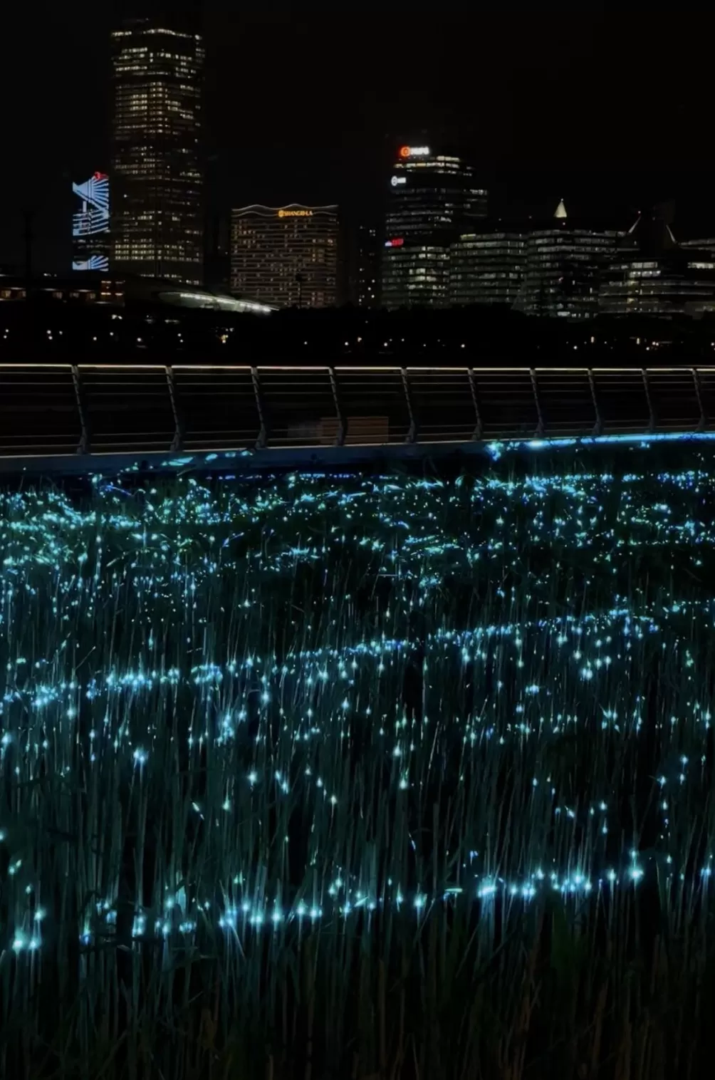 还没开幕就出圈的上海国际光影节,有哪些好看、好玩的?-第3张图片- 还没开幕就出圈的上海国际光影节,有哪些好看、好玩的?-第3张图片-