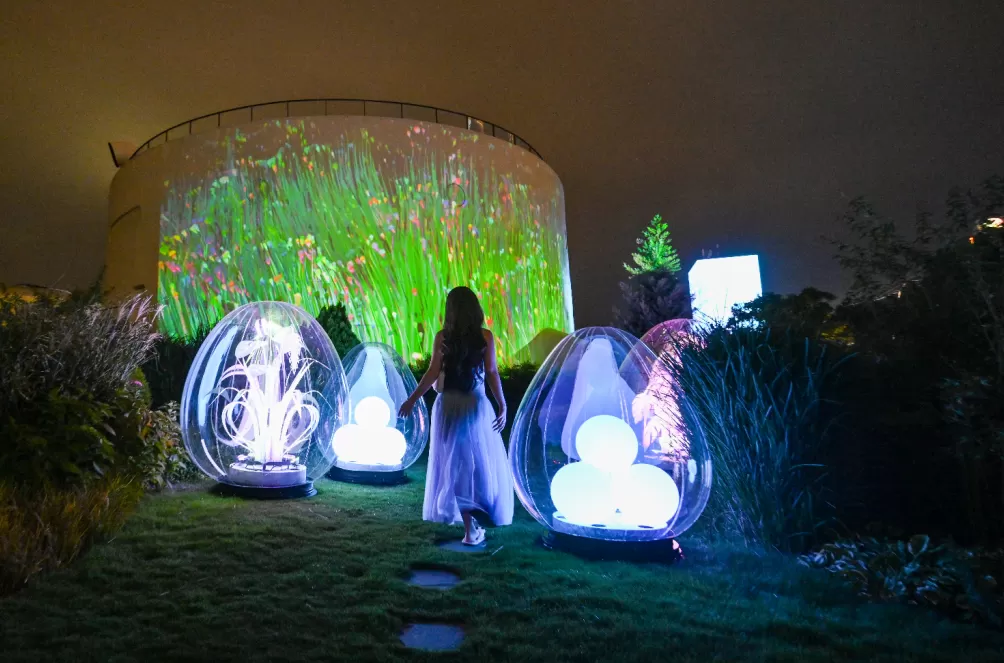 上海国际光影节：三千平方米裸眼3D投影秀照亮西岸穹顶，全球218件光影佳作齐亮相-第7张图片-