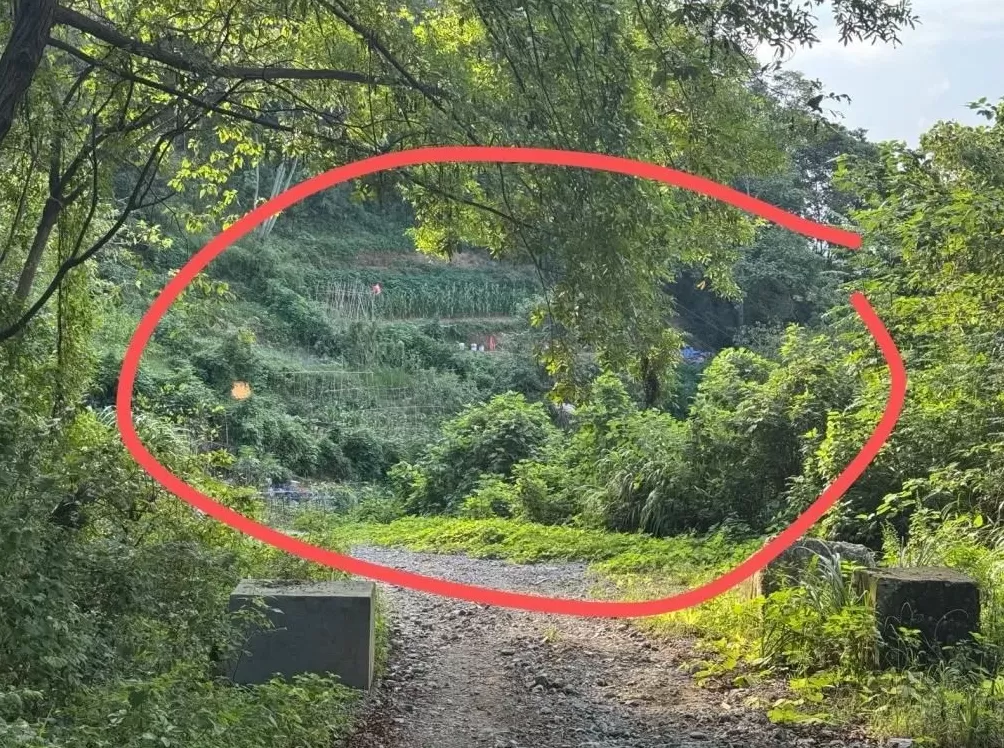 杭州女子散步误踩氢氟酸中毒去世，当地最新回应：已锁定化学品所有者，共发现三桶氢氟酸-第2张图片-