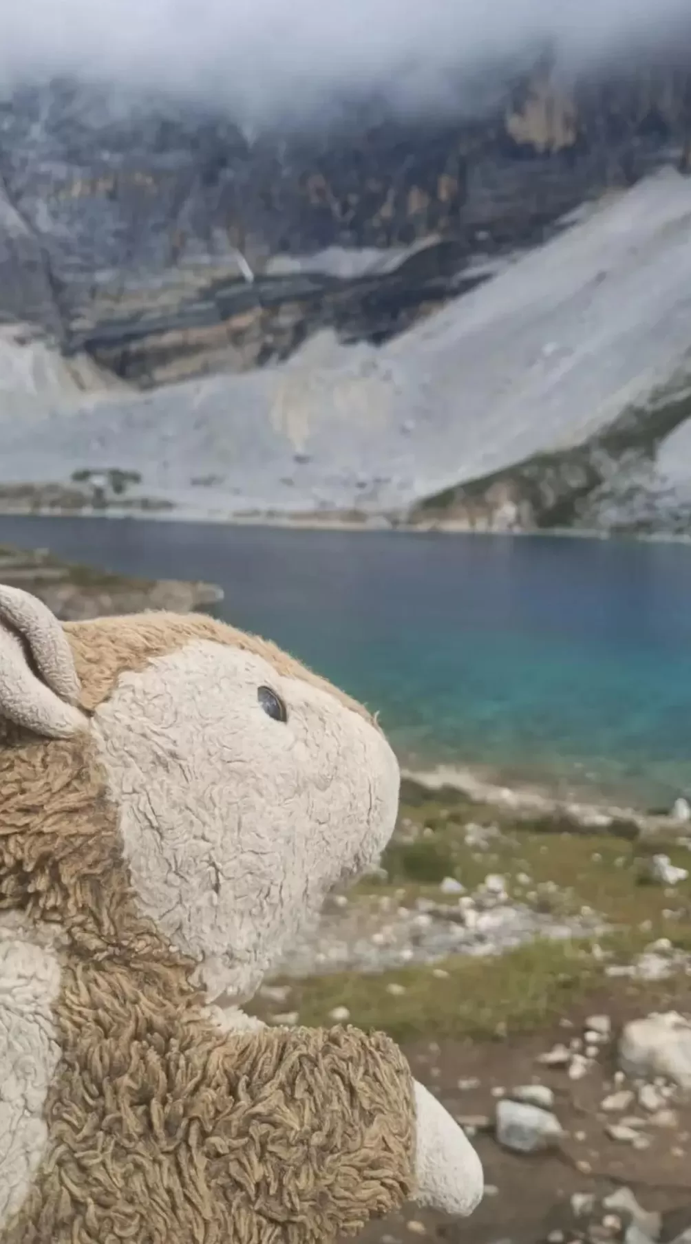流浪者赵典：32岁，海归硕士，放弃高薪工作只为做回自己-第18张图片-