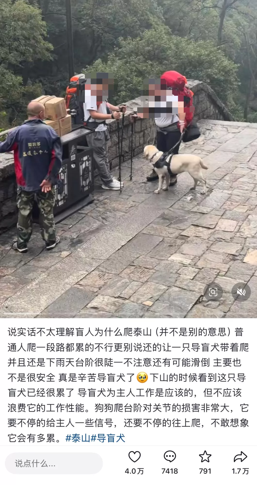 “视障人士带导盲犬爬泰山”被质疑吸引流量，导盲犬基地回应-第1张图片-
