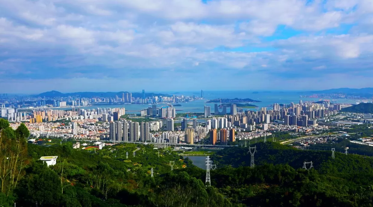 厦门海沧区投洽会签约超456亿，“3+3+4”产业集群崛起-第6张图片-