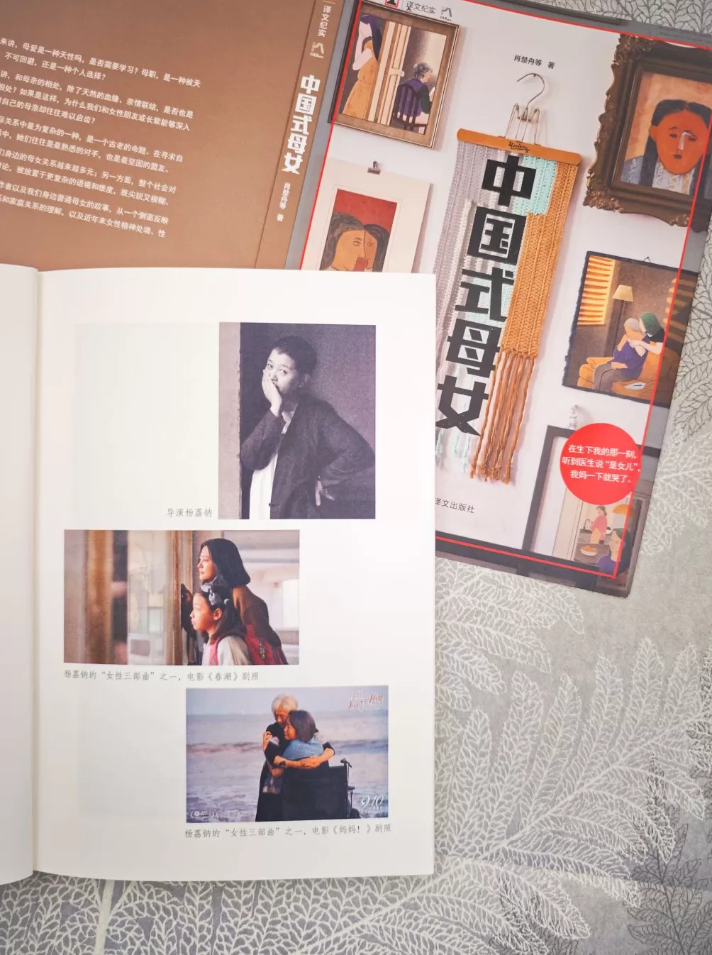 读懂母亲,可能是我们一生的功课|翻翻书·书评-第5张图片- 读懂母亲,可能是我们一生的功课|翻翻书·书评-第5张图片-