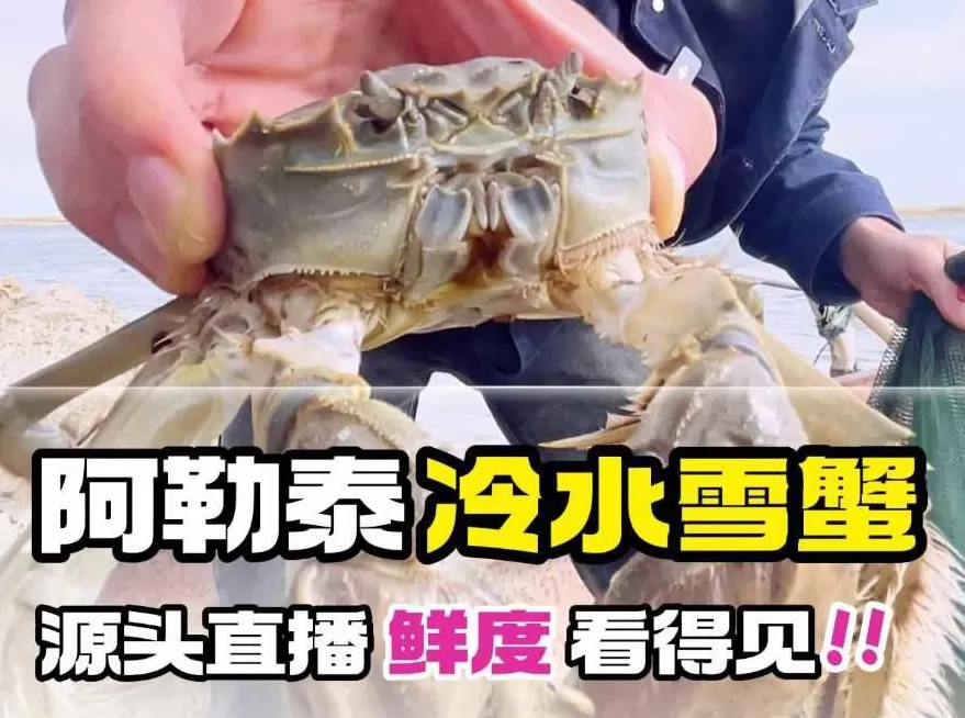 砥砺奋进七十载天山南北谱华章|湖水映雅丹戈壁藏奇观乌伦古湖海上魔鬼城的焕新路-第7张图片-