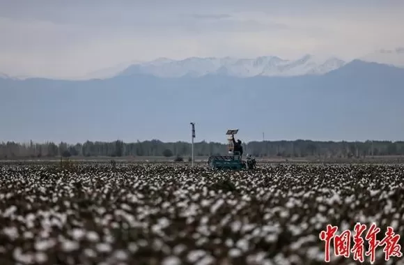 看这边风景-第6张图片-