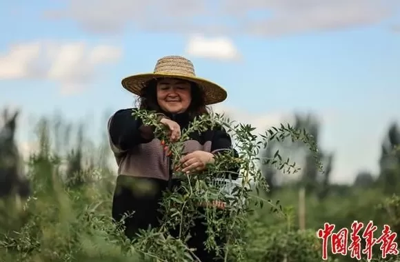看这边风景-第3张图片-