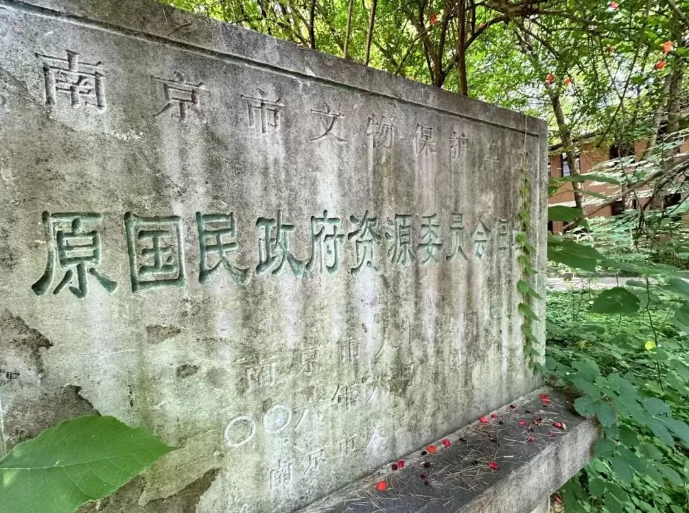 在南京民国户籍卡里，和逝去的家人“重逢”-第9张图片-