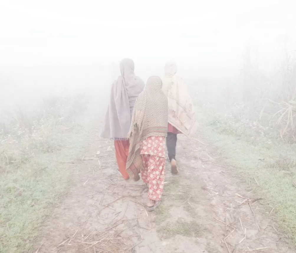 看展览｜MoMA新摄影展：用摄影产生归属-第2张图片-