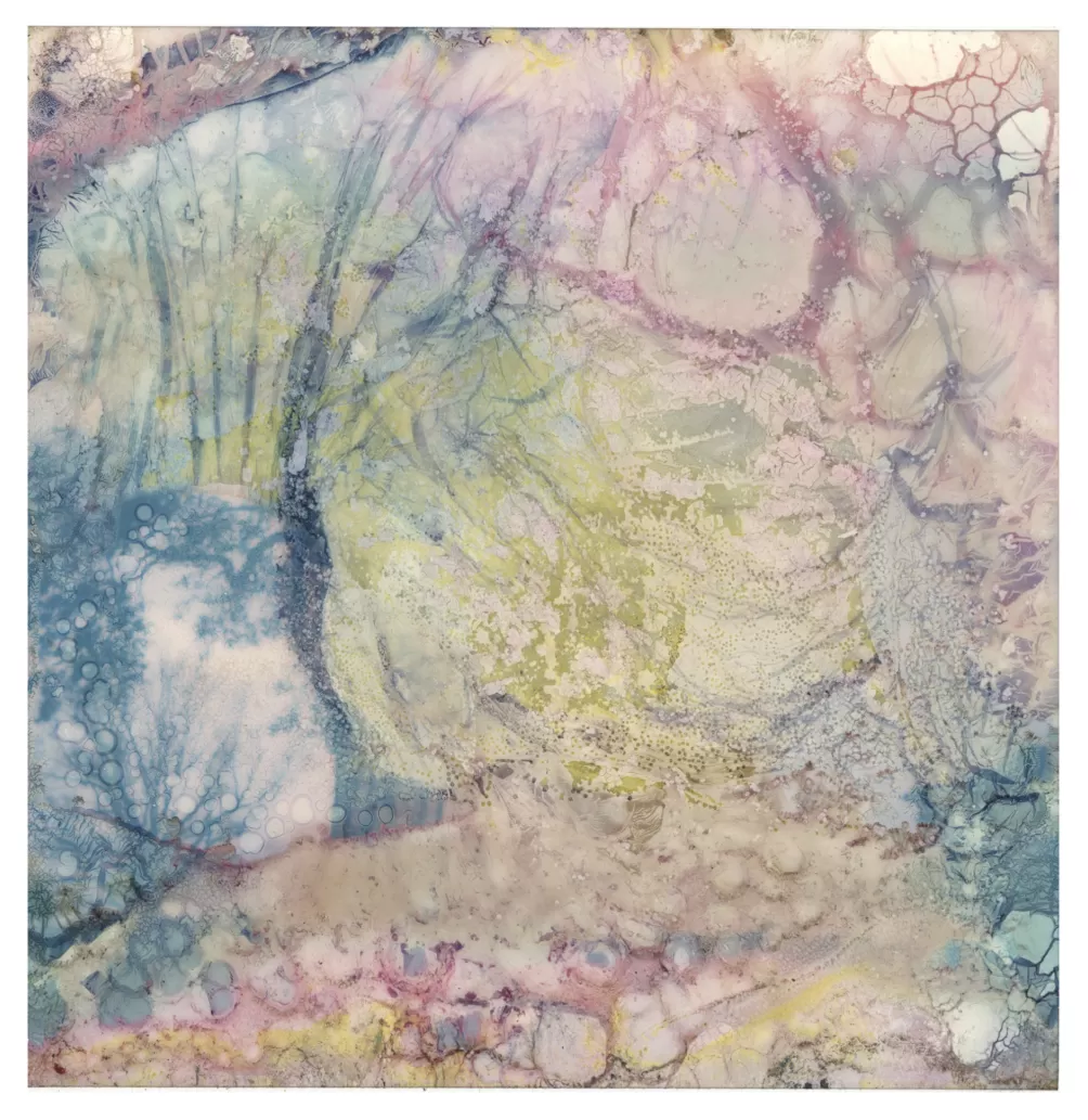 看展览｜MoMA新摄影展：用摄影产生归属-第8张图片-