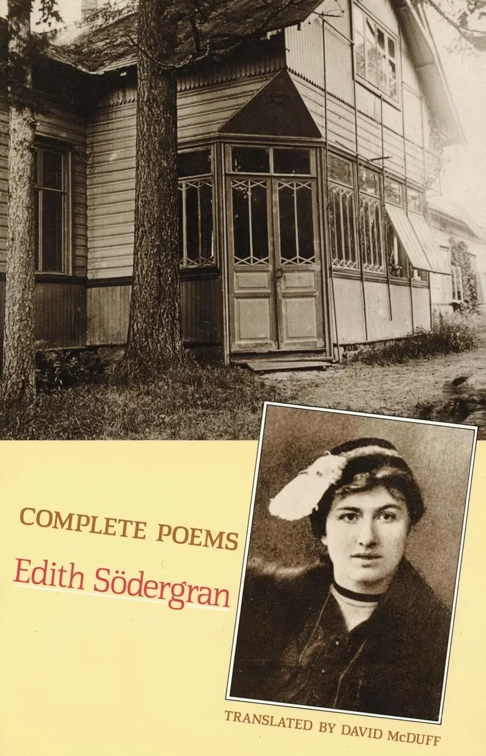 王一笑读索德格朗的诗｜从风信子女孩到“太阳的女儿”-第3张图片-