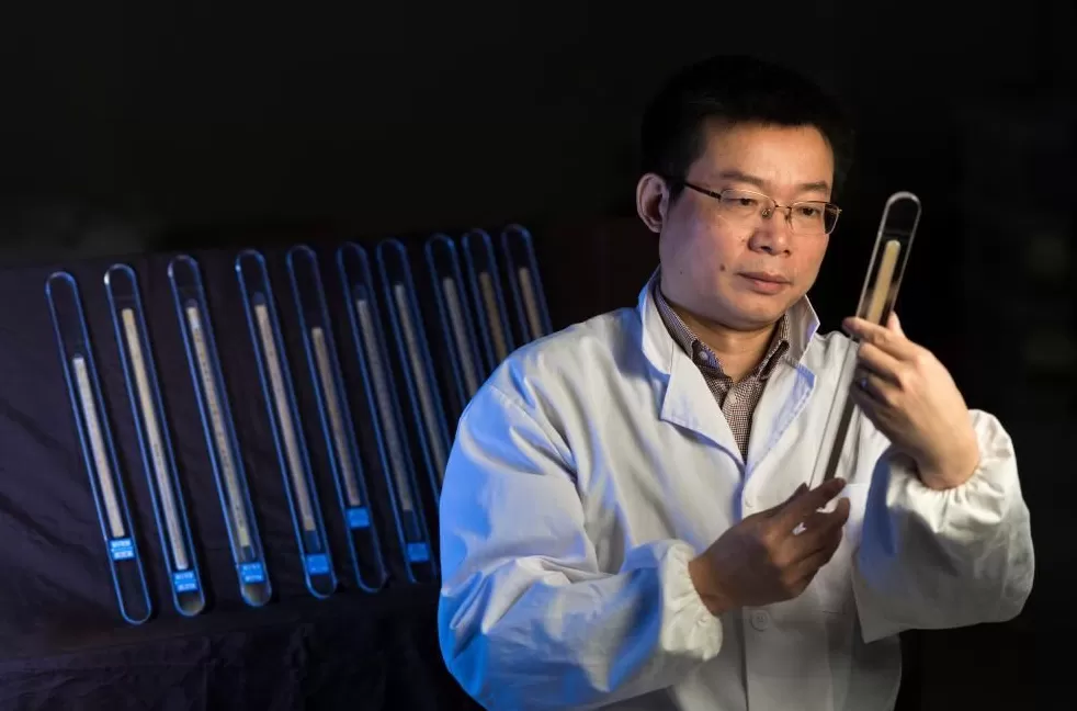 文化中国行｜湖北荆州：技术创新为有机质文物全生命周期“护航”-第4张图片-