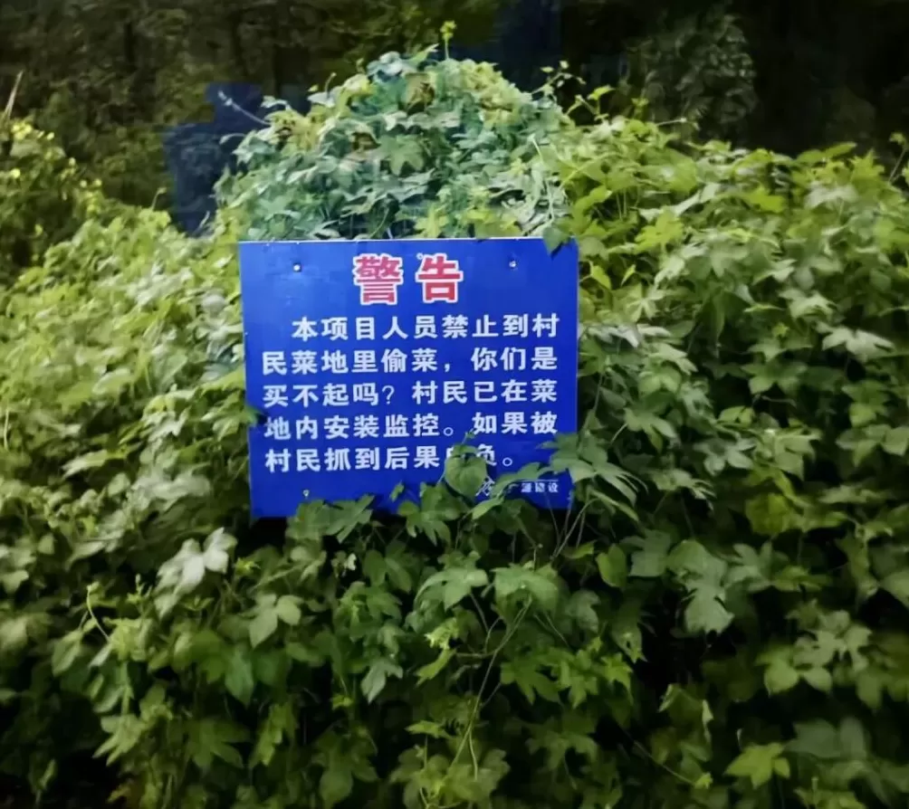 我去了杭州“化骨水”事发现场-第7张图片-