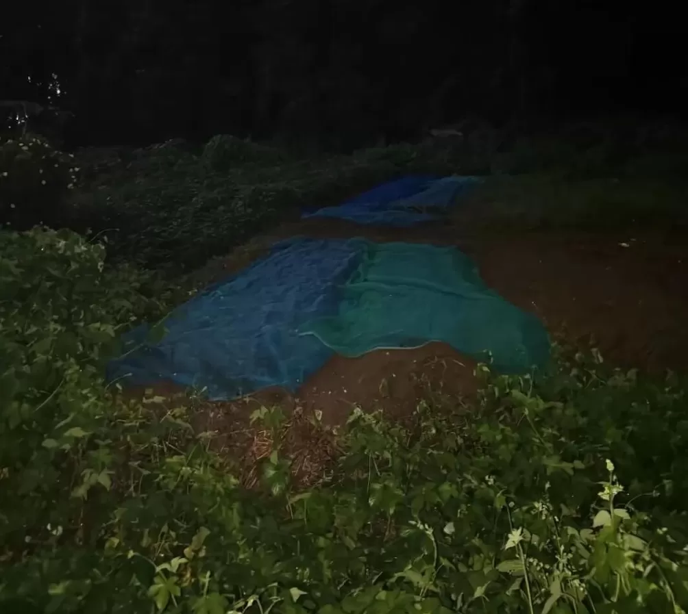 我去了杭州“化骨水”事发现场-第8张图片-