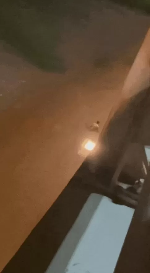 男子从温州一大桥跳下，没想到正值退潮江中无水，身体陷入淤泥中无法脱身-第2张图片-