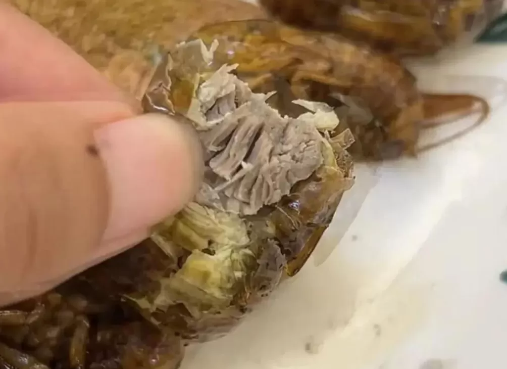 蟑螂如果和小龙虾一样大，能吃吗-第4张图片-