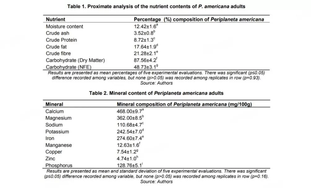 蟑螂如果和小龙虾一样大，能吃吗-第5张图片-