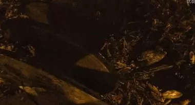 蟑螂如果和小龙虾一样大，能吃吗-第6张图片-