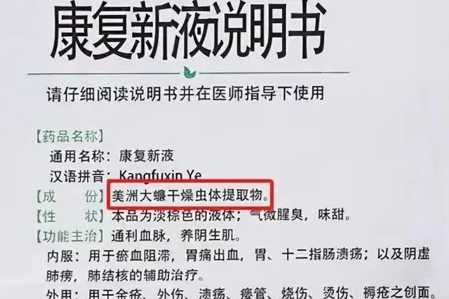 蟑螂如果和小龙虾一样大，能吃吗-第8张图片-