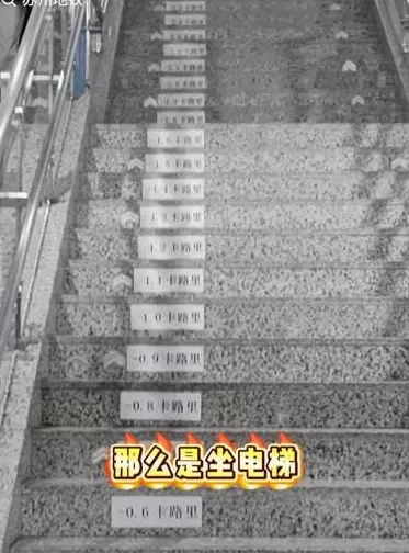 “带薪减肥”走红：身材更美，收入不菲-第2张图片-