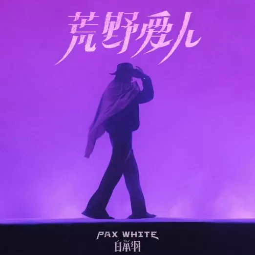 白举纲谈《荒野爱人》：孤独的世界里重拾自己-第1张图片-