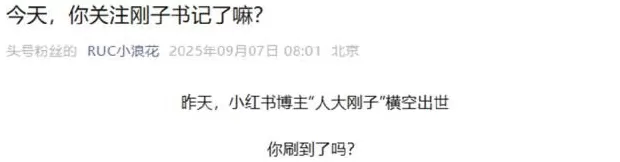 “人大刚子”,有多“刚”?-第3张图片- “人大刚子”,有多“刚”?-第3张图片-