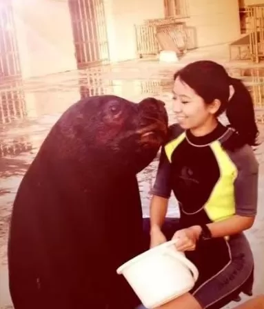 囚鲸之死：一名女驯鲸师的觉醒-第3张图片-