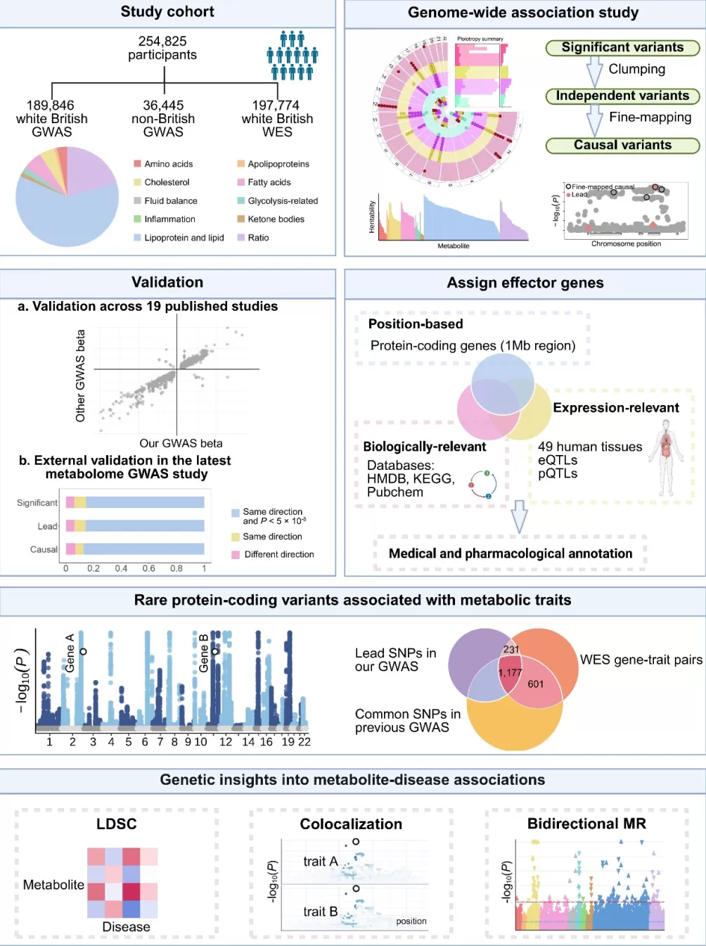 复旦专家团队首次绘制出人类健康与疾病代谢组图谱,可预测数百种疾病-第2张图片- 复旦专家团队首次绘制出人类健康与疾病代谢组图谱,可预测数百种疾病-第2张图片-