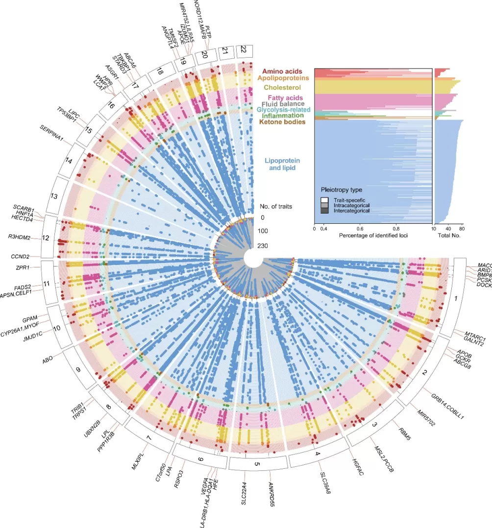 复旦专家团队首次绘制出人类健康与疾病代谢组图谱,可预测数百种疾病-第3张图片- 复旦专家团队首次绘制出人类健康与疾病代谢组图谱,可预测数百种疾病-第3张图片-