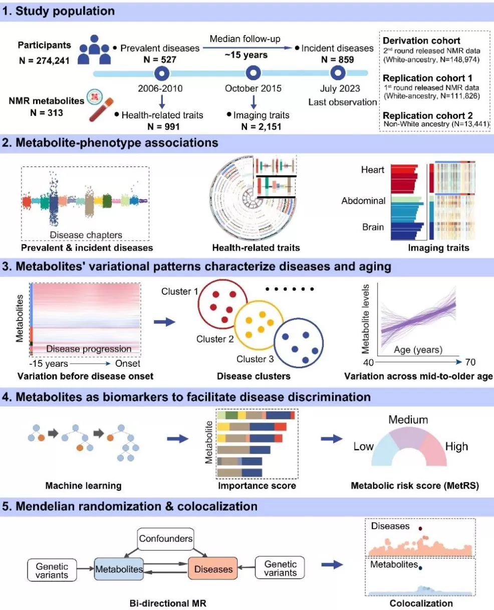 复旦专家团队首次绘制出人类健康与疾病代谢组图谱,可预测数百种疾病-第4张图片- 复旦专家团队首次绘制出人类健康与疾病代谢组图谱,可预测数百种疾病-第4张图片-