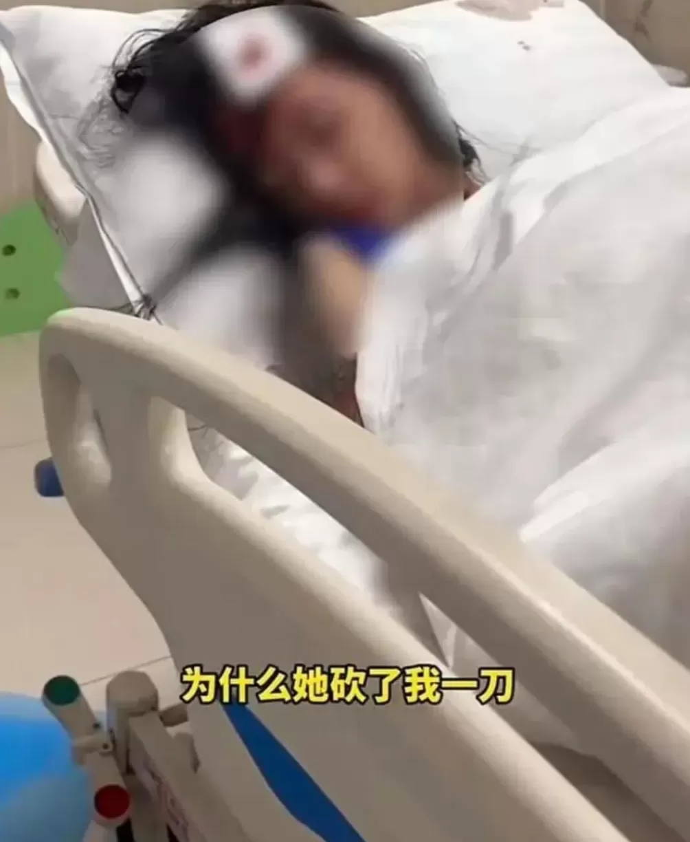 女子请闺蜜喝酒遭对方砍伤-第1张图片- 女子请闺蜜喝酒遭对方砍伤-第1张图片-