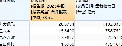 财说| 岩山科技AI业务收入暴跌72%，靠炒股撑起500亿市值？-第3张图片-