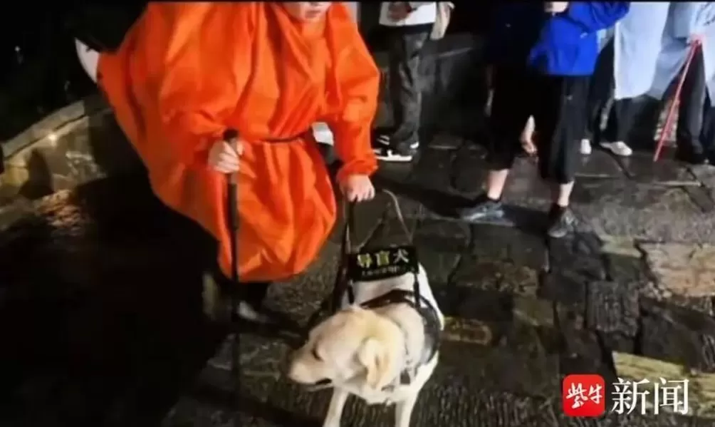 视障人士携导盲犬雨夜爬泰山引争议,当事人回应-第1张图片- 视障人士携导盲犬雨夜爬泰山引争议,当事人回应-第1张图片-