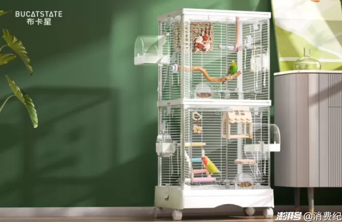 小鹦鹉，大生意-第10张图片-