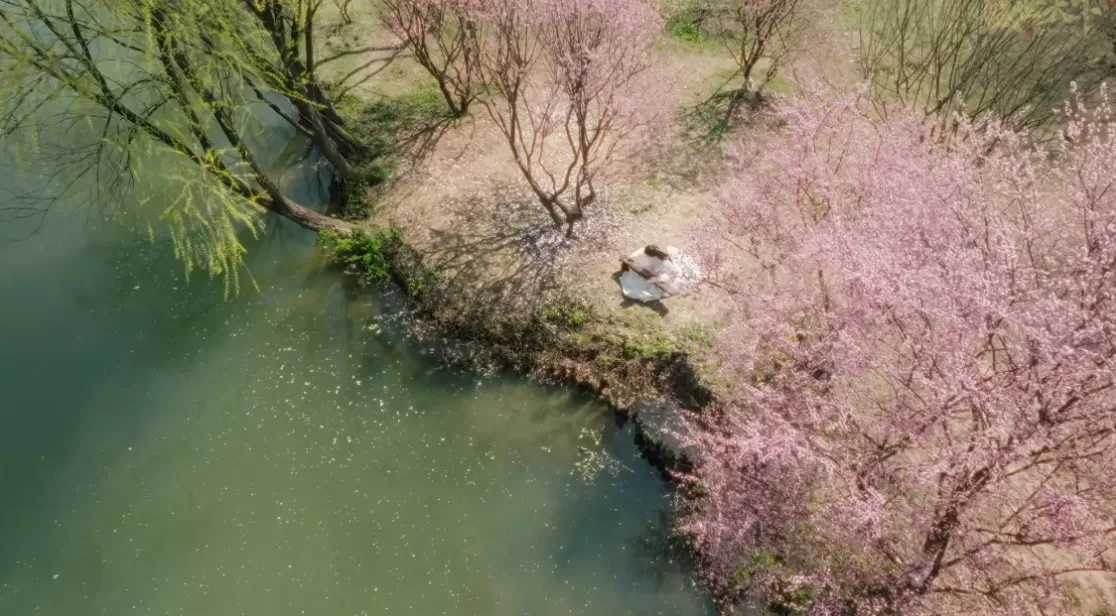 游戏论|情感权力与爱情游戏:从《清宫计》到《盛世天下》-第7张图片- 游戏论|情感权力与爱情游戏:从《清宫计》到《盛世天下》-第7张图片-