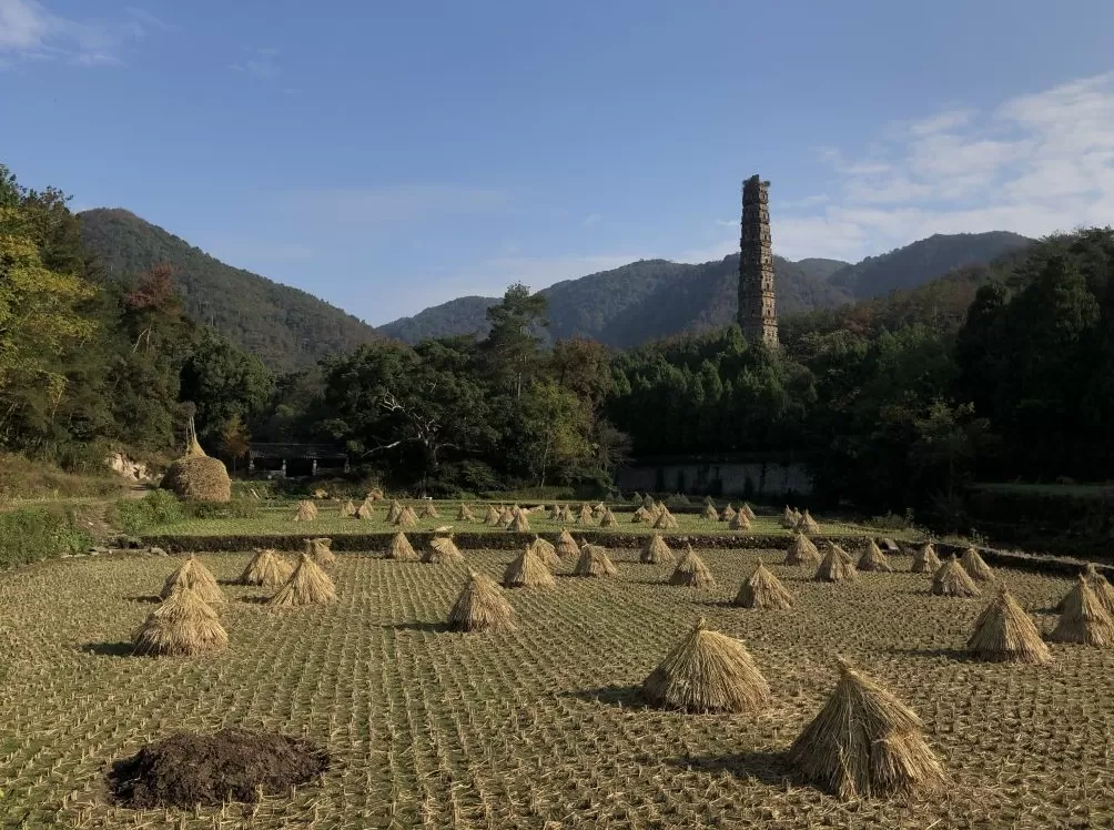 商伟︱何为人文风景-第9张图片-