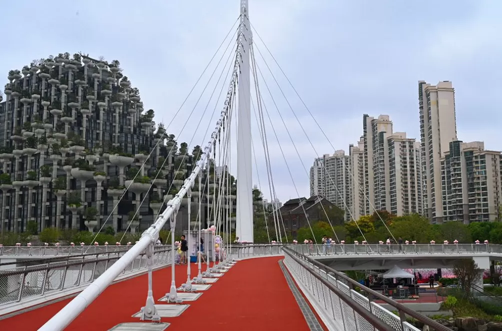 魔都眼︱苏河婚典：百位新人在百合桥许下爱的承诺-第10张图片-