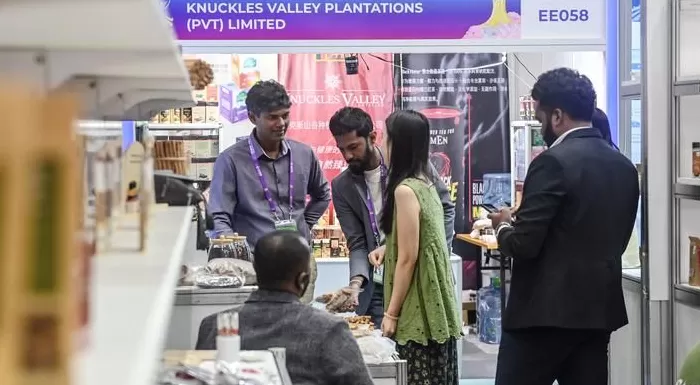 数读东博：五大数字透视中国—东盟合作之“变”-第5张图片-