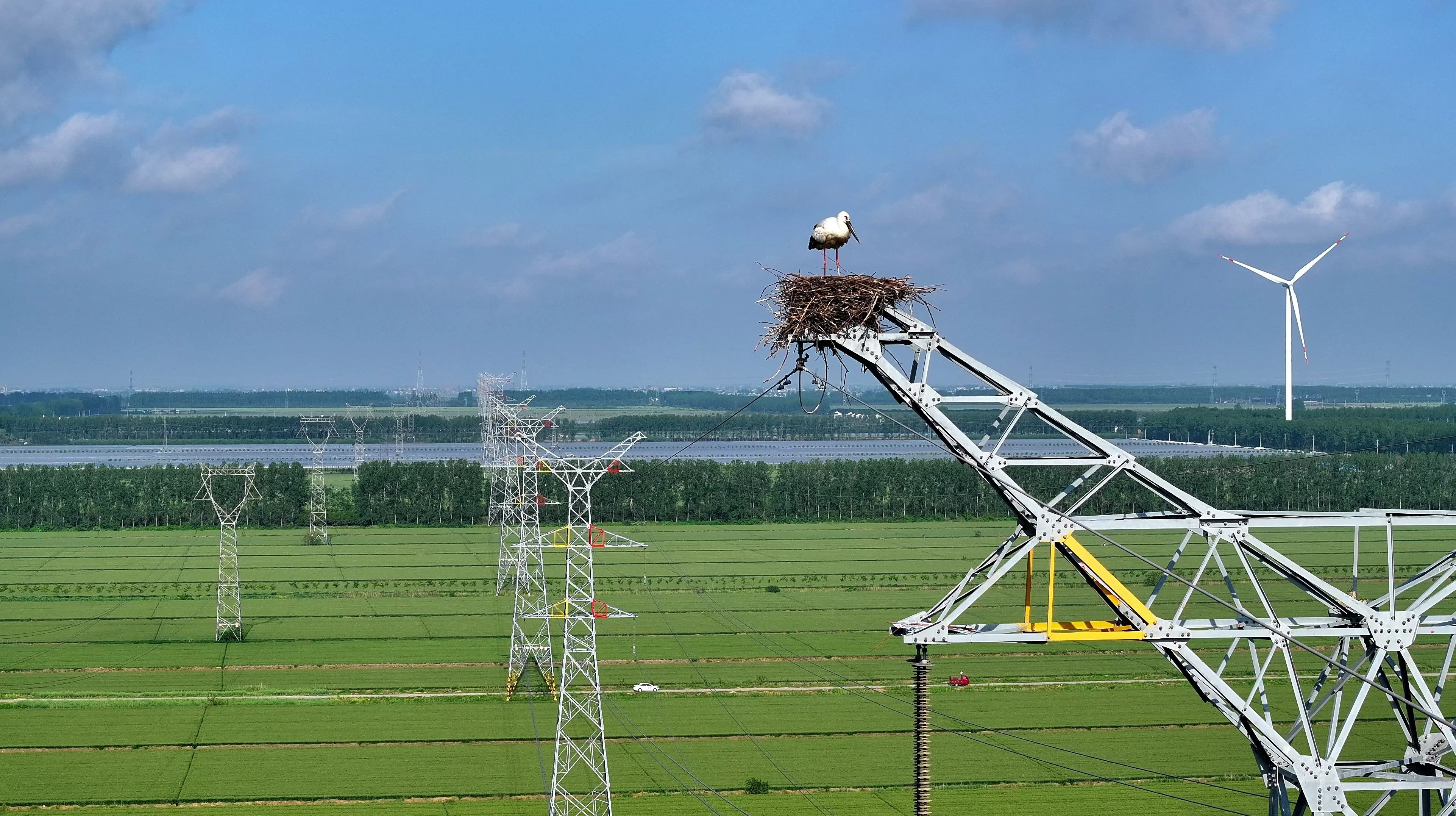 生态优先：如何守护盐城的“高颜值”-第2张图片-