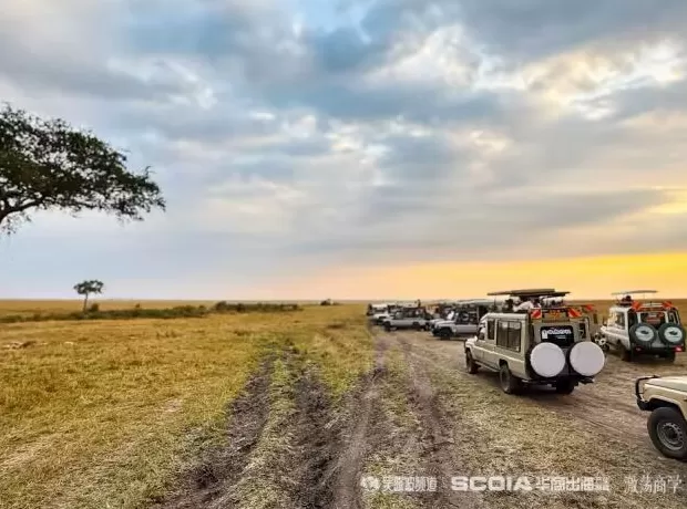 3万中国人涌入非洲：种菜、做电商，卖期房-第9张图片-